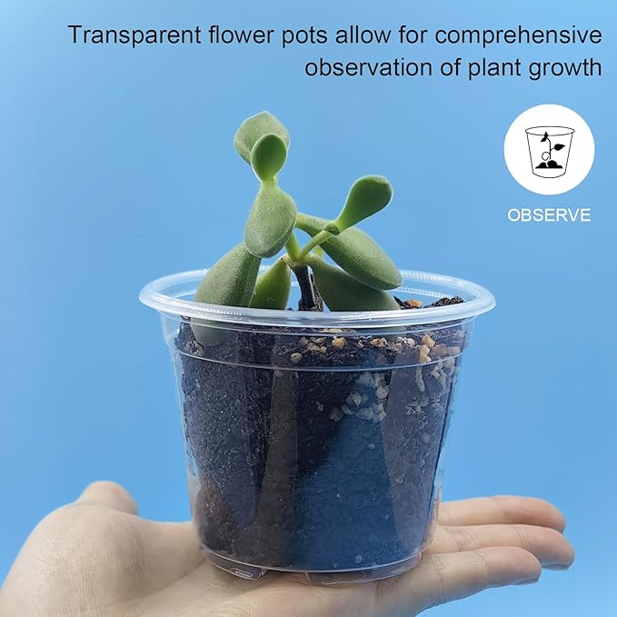 100 Pack 2.8 Inches Clear Plant Pots - Image 3