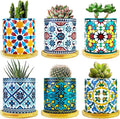 6 Pack Mandala Succulent Plant Pot by Ascrafter