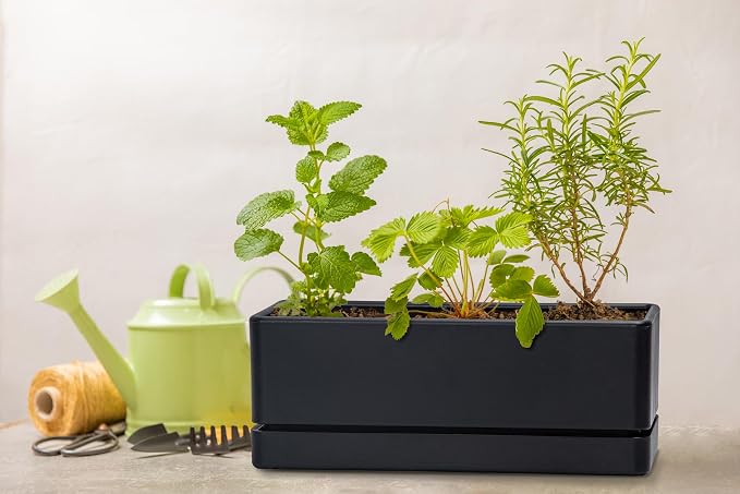 D'vine Dev 12 Inch Window Box Planter, Rectangle Plastic Herb Planter - Image 3
