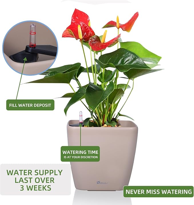 Dexceder 15x14 Self Watering Planter - Image 5