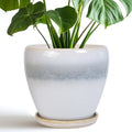 Ceramic Pots for Plants by EPFamily
