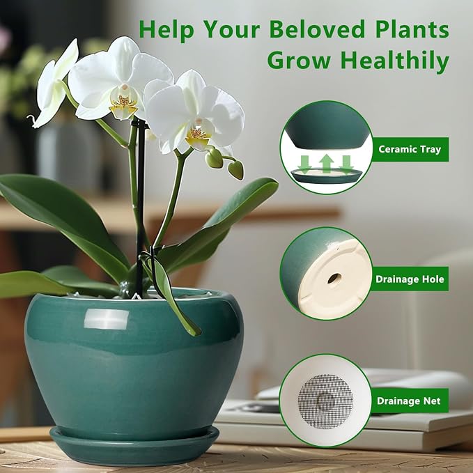 Indoor Plant Pot 6 Inch - Image 5