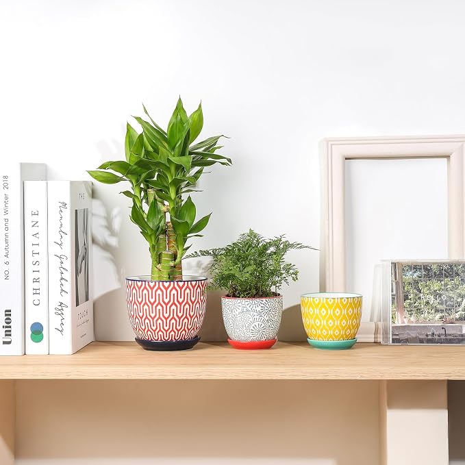 Selamica Ceramic Succulent Pots, 3.5 Inch Small Plant Pots - Image 5