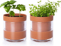 Phoenix Vine 4 Inch Self Watering Planter Pot, Terracotta Clay Pot by Phoenix+Vine