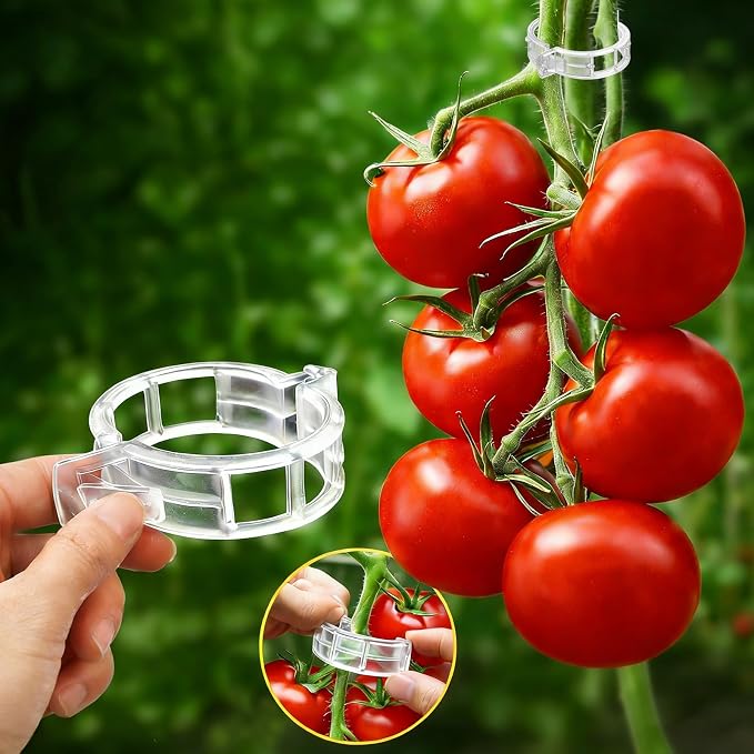 FEED GARDEN 120Pcs Plant Clips for Climbing Plants-Tomato, Grape & Vegetable by FEEDGARDEN
