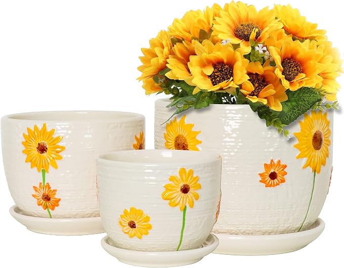 Ton Sin Plant Pots, 4+5+6 inch Pots by TonSin