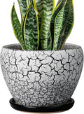Ceramic Plant Pot 8 Inch by Ceramicfor