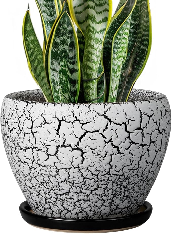 Ceramic Plant Pot 8 Inch by Ceramicfor