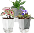 3 Pack Self Watering Planter Pots, 4.9 Inch African Violet Pots by Samhe