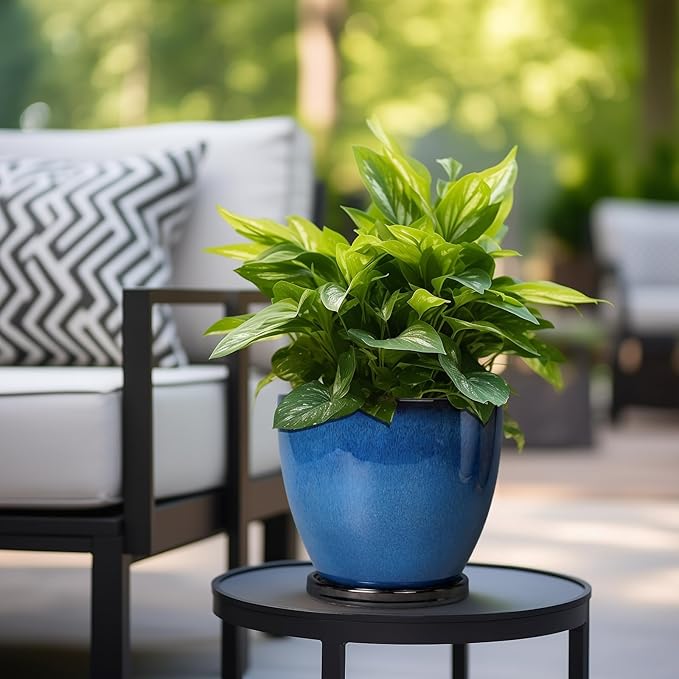 8 Inch Planter - Ceramic Plant Pot - Image 5