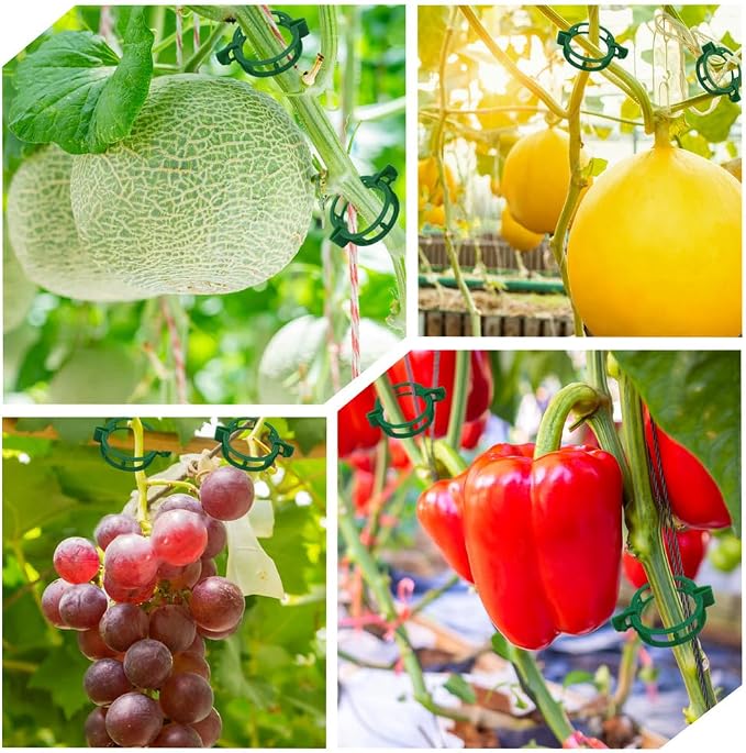 200 Pcs Plant Support Tomato Clips, Garden Clips, Crop Clips - Image 3