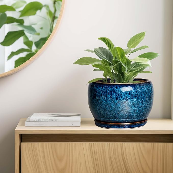 SQOWL 10 Inch Plant Pot - Image 8