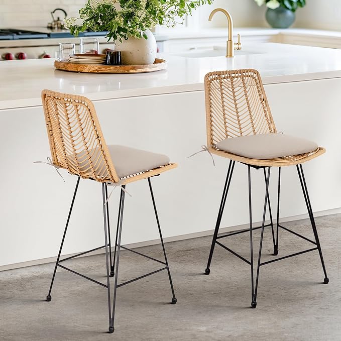 IDZO Set of 2 Rattan Counter Stools, 400lbs Capacity, Cushioned Seats, Steel by Idzo