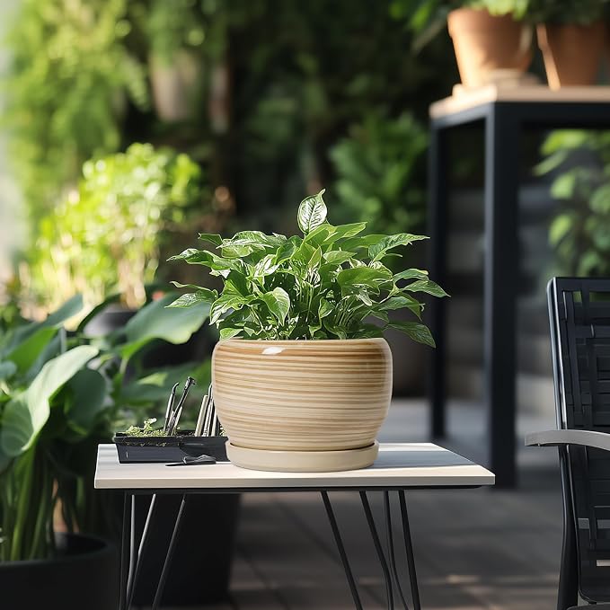 SQOWL Ceramic Planter- 8 Inch Plant Pot Indoor Outdoor, Round Planter - Image 5