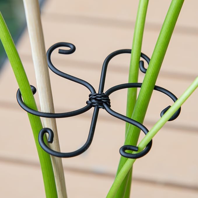 Monstera Plant Stem Support Set - Image 5