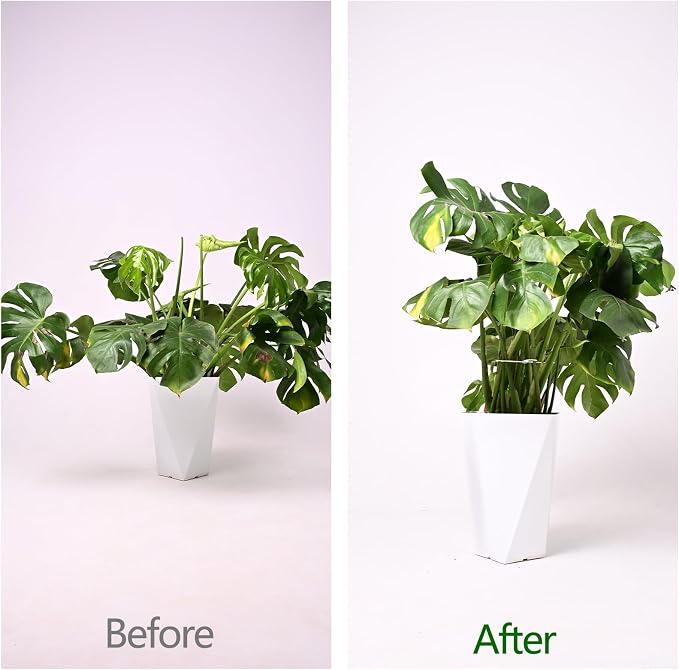 6.5 * 6.5in Monstera Plant Support Hook 5PCS - Image 3