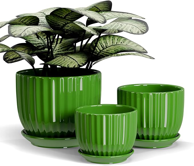 Ton Sin Ceramic Plant Pots, Indoor Planters by TonSin