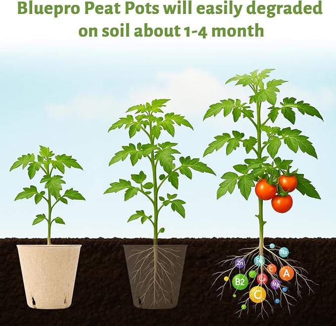 120 Packs 3.15 Inch Peat Pots, Biodegradable Pots - Image 4