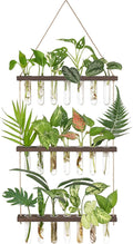 Mkono Plant Propagation Tubes, 3 Tiered Wall Hanging Terrarium by Mkono