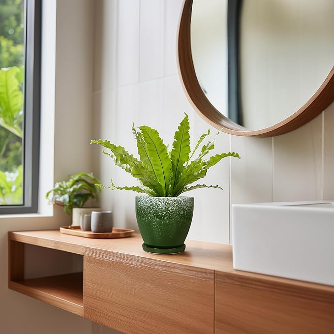 6 Inch Plant Pot - Image 7