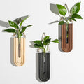 Indoor Wood Wall Planter Set of 3 by Dnnnii