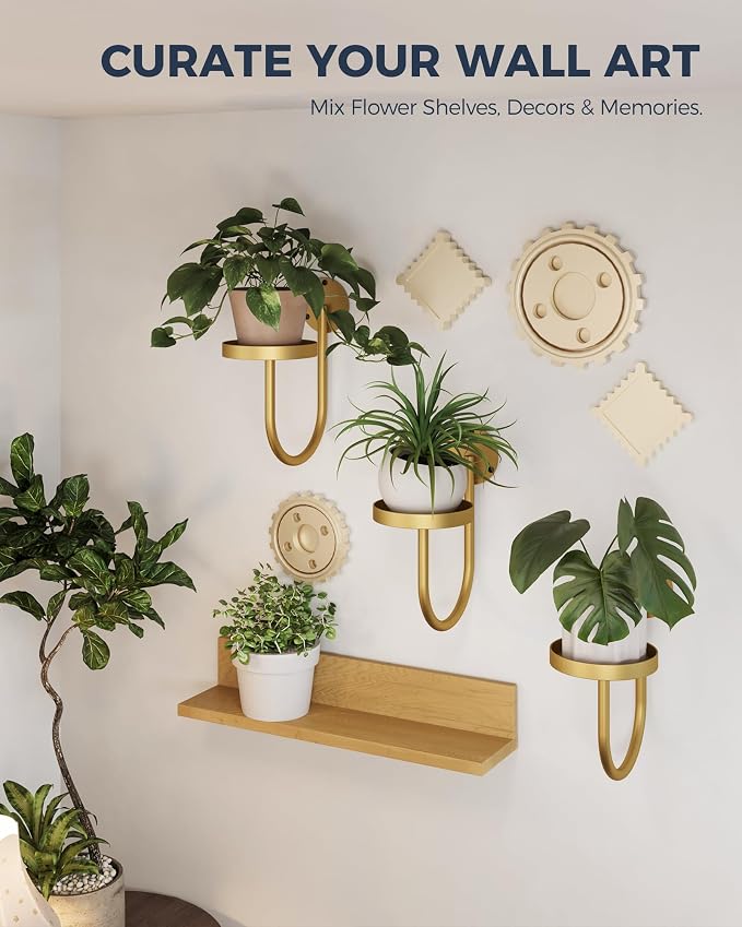 Bamworld Wall Plant Holder Wall Planters - Image 6