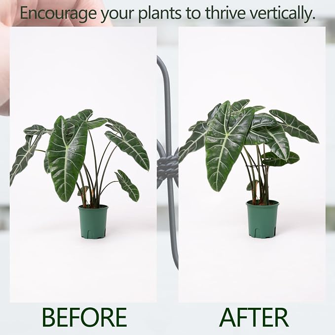 Monstera Plant Support Hook - Image 3