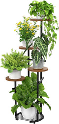 TOSKING 5 Tier Metal Plant Stand Indoor， Plant Shelf, Corner Shelf Flower Pot by TOSKINGESSENCE