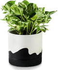 Nihow Ceramic Plant Pot: 6 Inch Planter by Nihow
