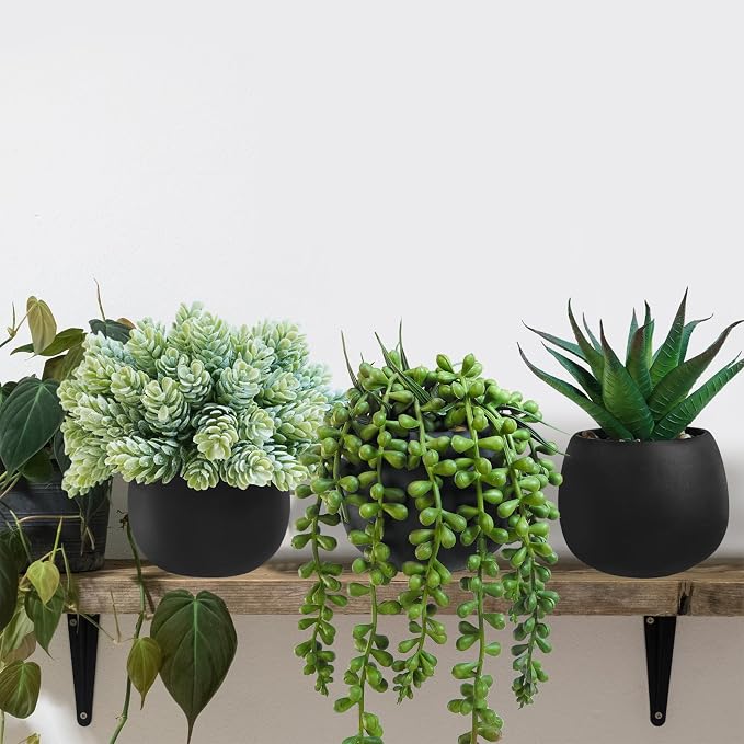 Winlyn Set of 3 Artificial Succulent Plants in Black Concrete Pots Faux Aloe - Image 4