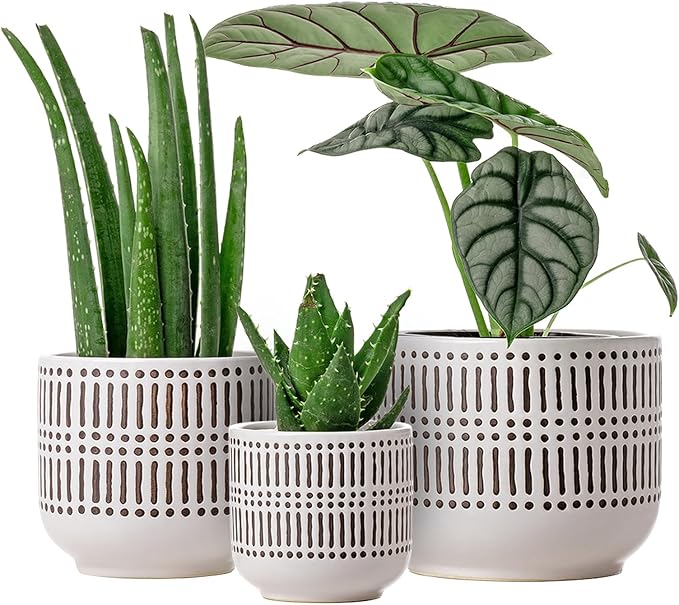 Docrin 3-Pack Ceramic Planters Set by DOCRIN