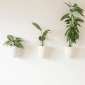 Make Good PlantPod Luxe Self-Watering Wall Planters by MakeGood