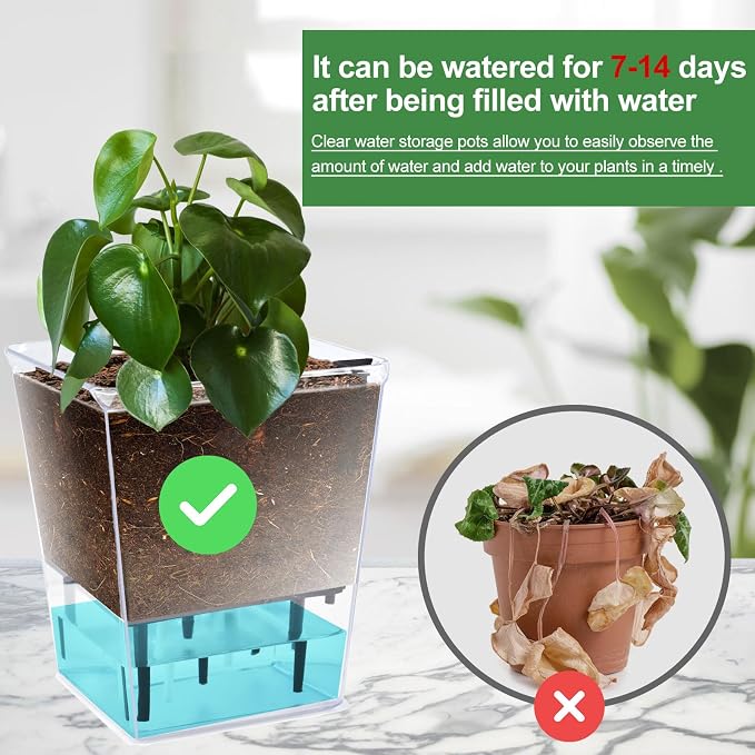 Self Watering Pots Set, 3 Pack 2.7 Inch Pots - Image 6