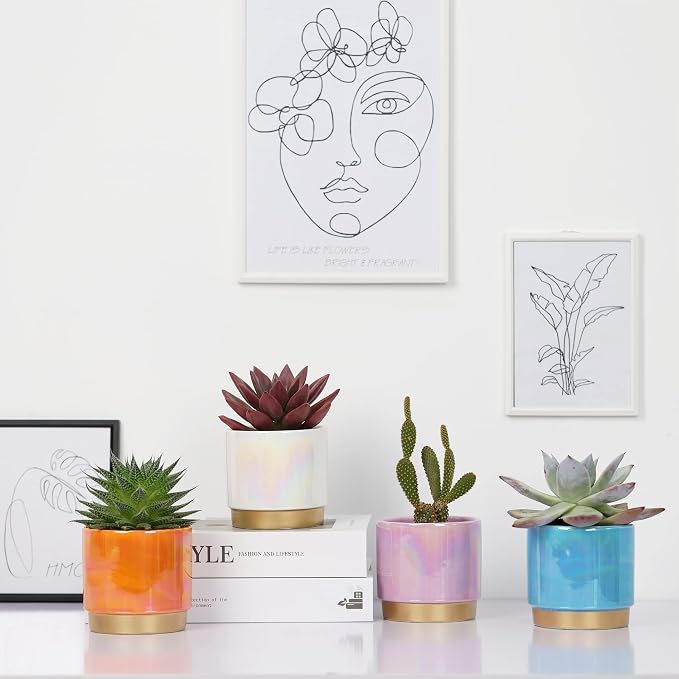 Gepege Succulent Pots for Plants, Succulent Planter - Image 7
