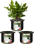 3-Pack 20 Gallon Grow Bags, Thickened Nonwoven Fabric Pots by FVOTNW