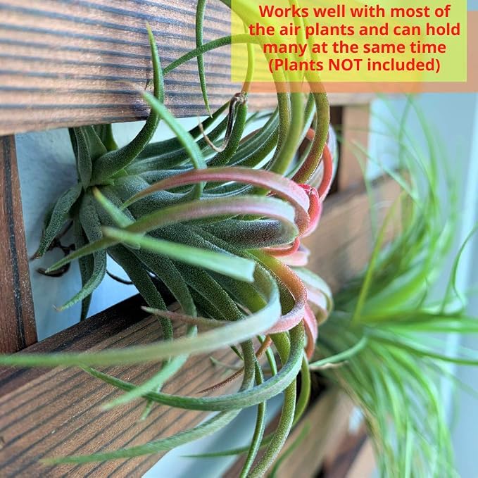 ShopLaLa Wall Planter - Image 5