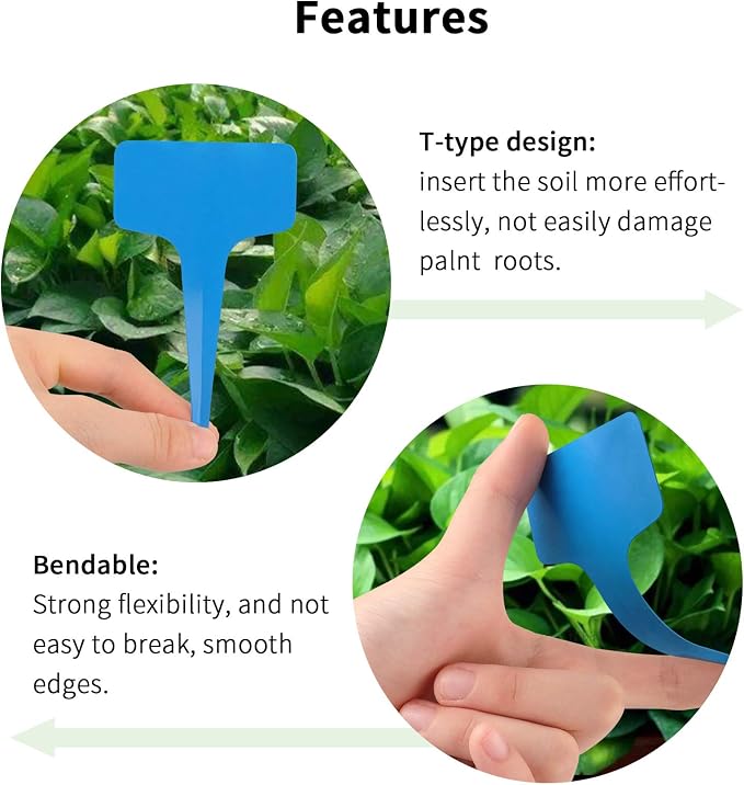 Blue Plant labels - Image 5