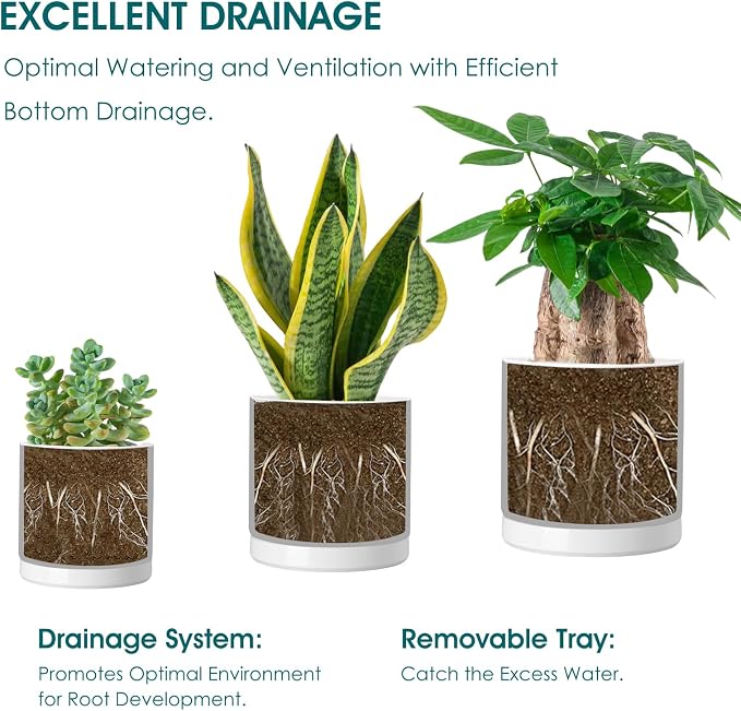 vancasso Ceramic Plant Pots, 3 Piece Planters - Image 3