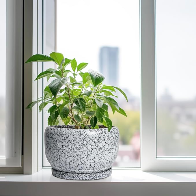 SQOWL Ceramic Planters - Image 4