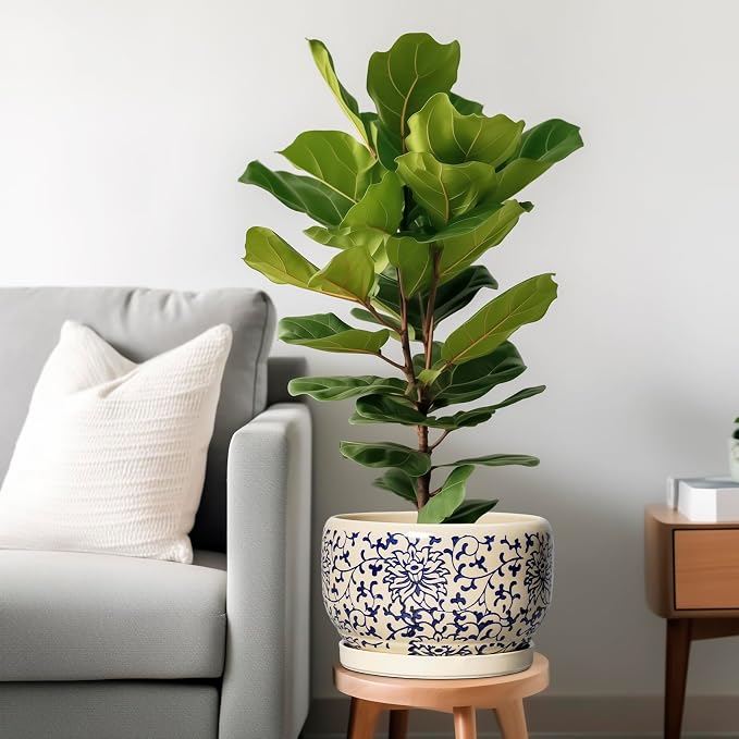 SQOWL 10 Inch Plant Pot Indoor - Image 2
