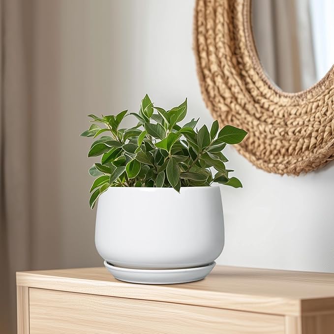 G EPGardening Ceramic Planter 9 Inch - Image 5