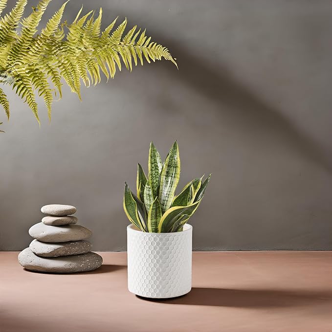 Docrin Ceramic Planters Indoor, 8 Inch Plant Pot - Image 8