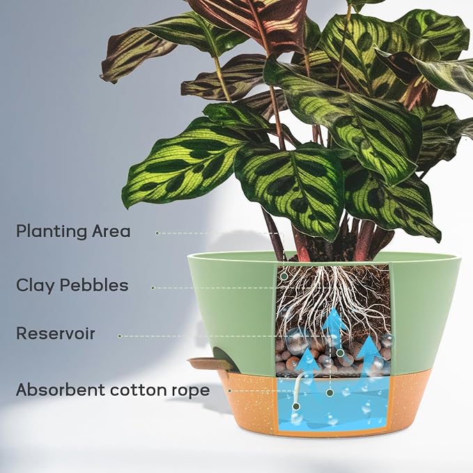 12-Inch Self Watering Planters - Image 4