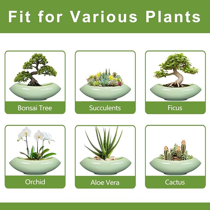 Ceramic Bonsai Pots - Image 7