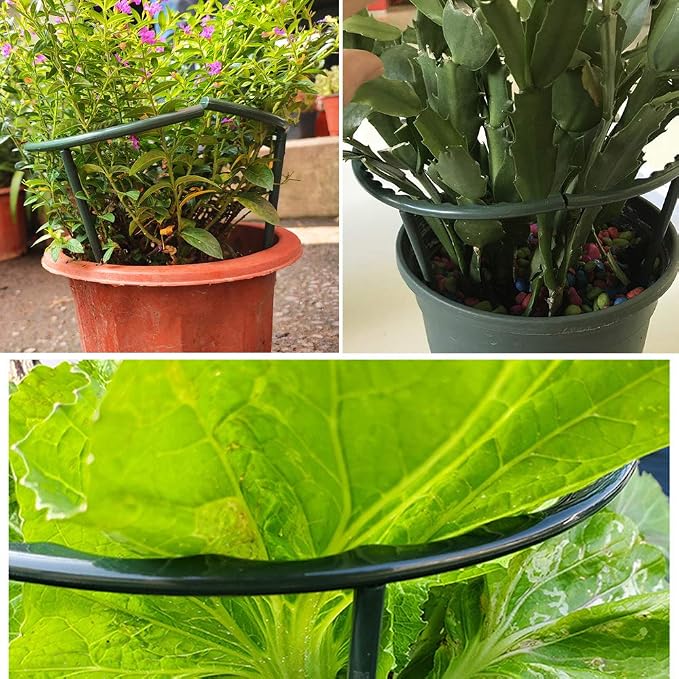 Mwellewm 10 Pack Plant Support Plant Stakes Metal Half Round Search Support - Image 7