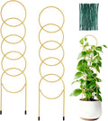 17.5 Inch Plant Trellis Indoor for Climbing Plants, Metal Small Garden Trellis by Unknown