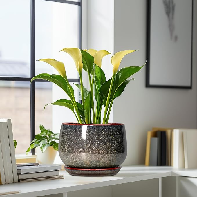 G EPGardening Ceramic Planters - Image 6