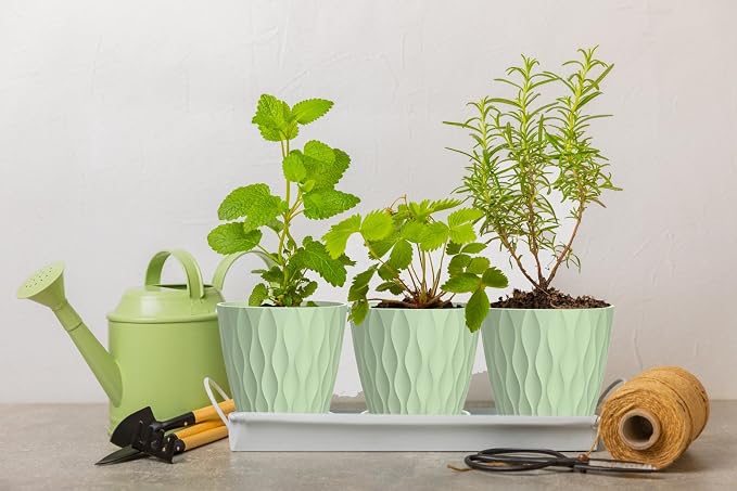 4 Inch Plant Pots, 6 Pack Indoor Flower Pots, Planters - Image 5