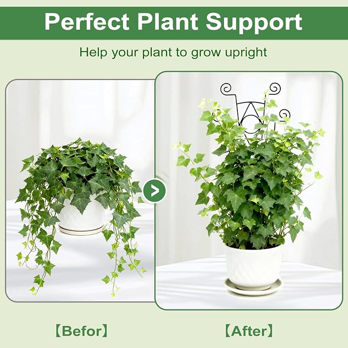 Stackable Metal Trellis for Climbing Plants Outdoor & Indoor - Image 4