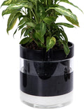 Phoenix Vine 10 Inch Self Watering Terracotta Planter by Phoenix+Vine